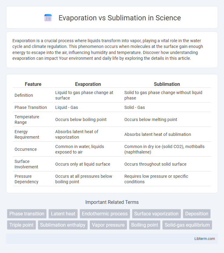 Sublimation vs Evaporation in Science - What is The Difference?