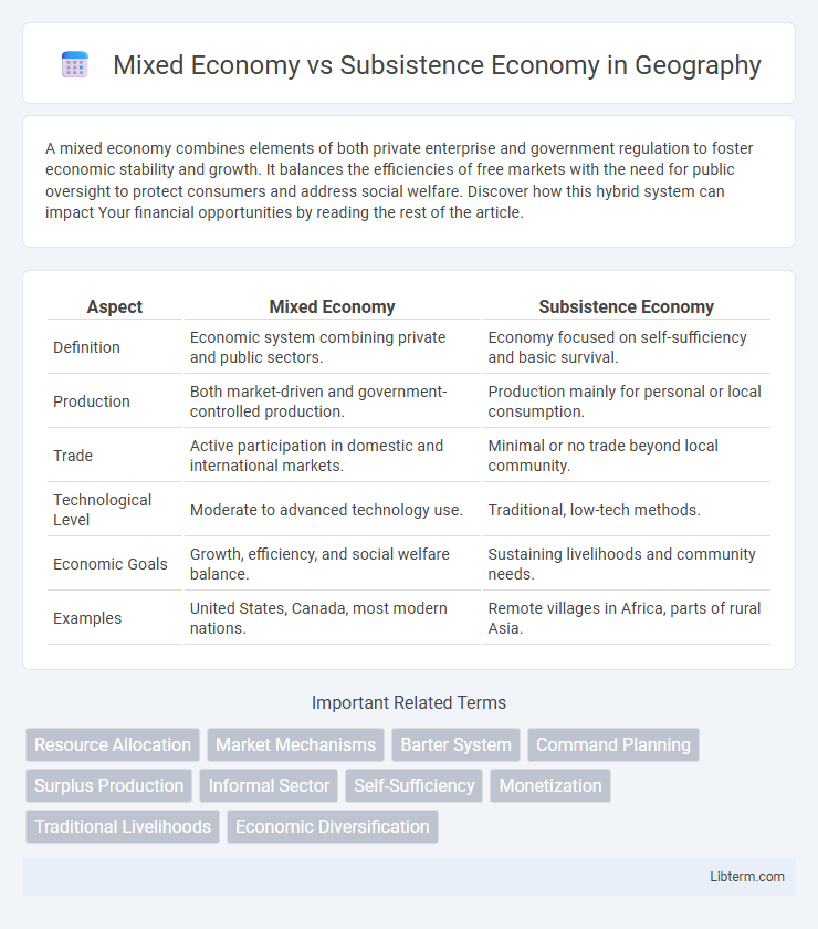 Subsistence Economy vs Mixed Economy in Geography - What is The Difference?