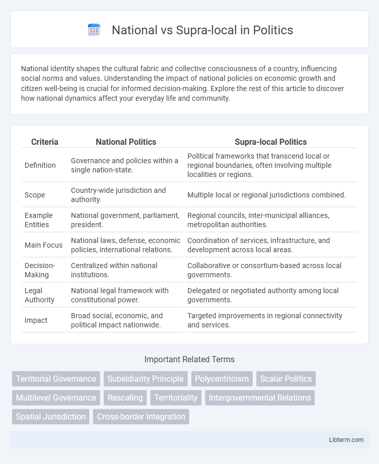 Supra-local vs National in Politics - What is The Difference?