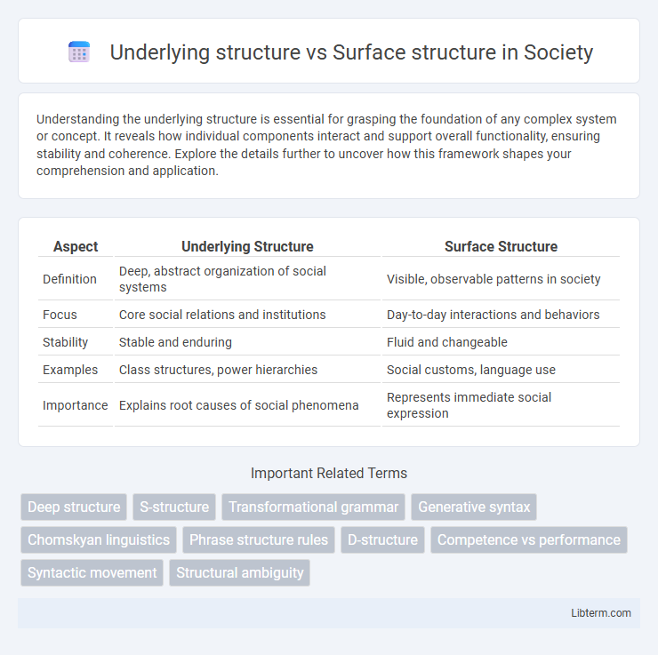 Surface structure vs Underlying structure in Society - What is The Difference?