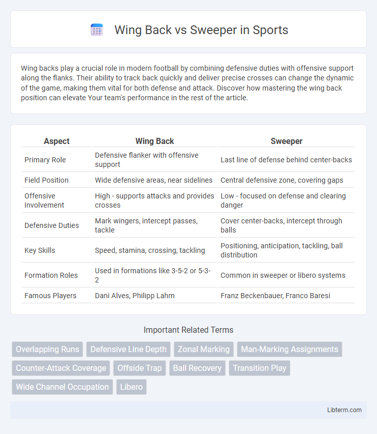 Sweeper vs Wing Back in Sports - What is The Difference?