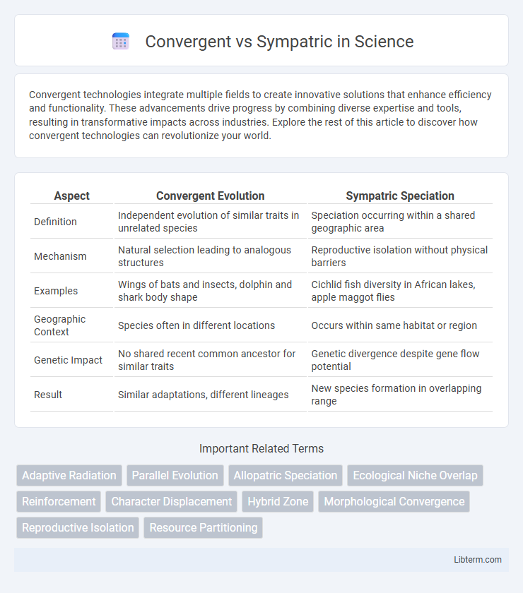 Sympatric vs Convergent in Science - What is The Difference?