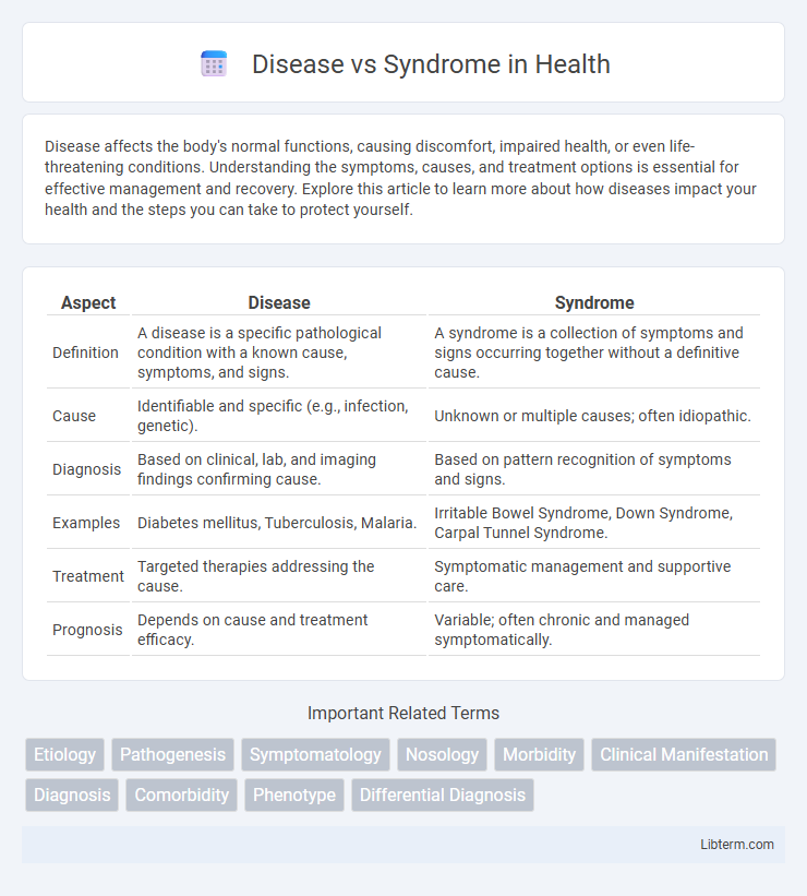Syndrome vs Disease in Health - What is The Difference?
