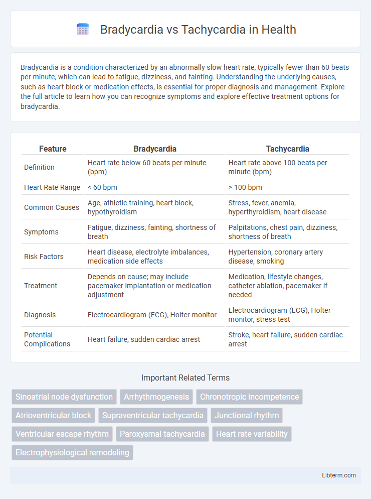 Tachycardia vs Bradycardia in Health - What is The Difference?