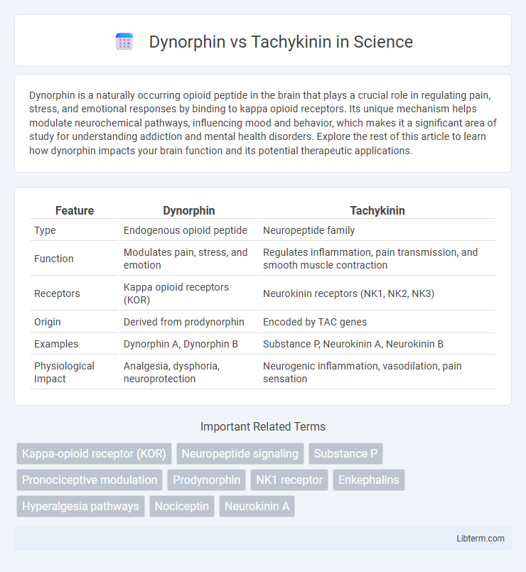 Tachykinin vs Dynorphin in Science - What is The Difference?