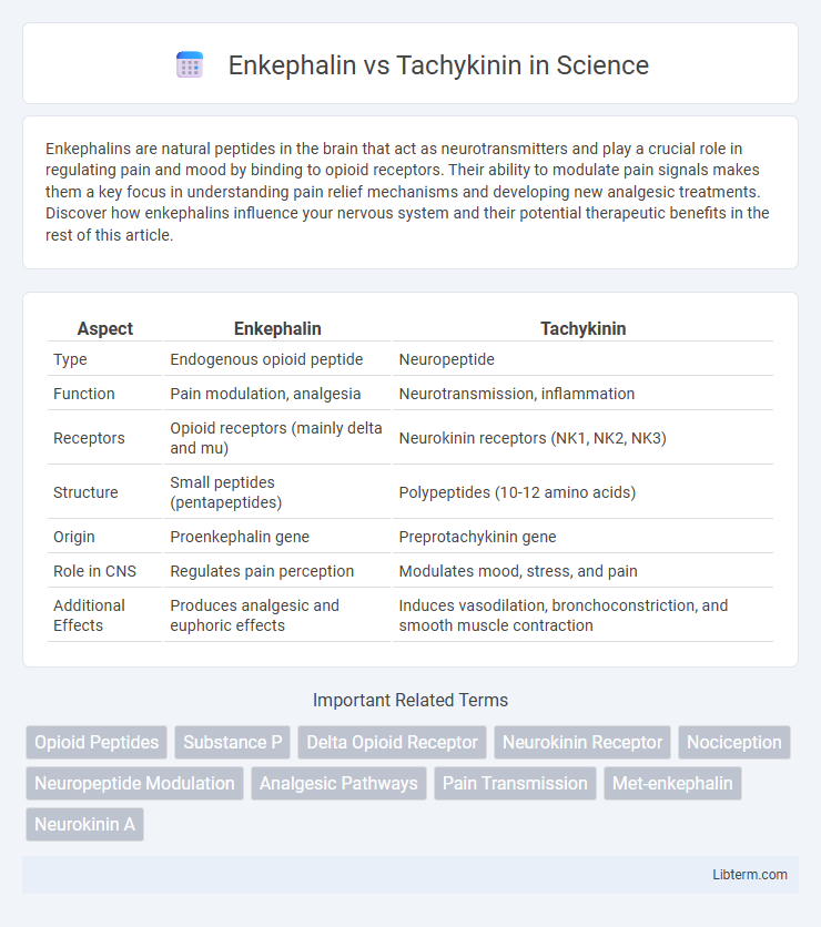 Tachykinin vs Enkephalin in Science - What is The Difference?
