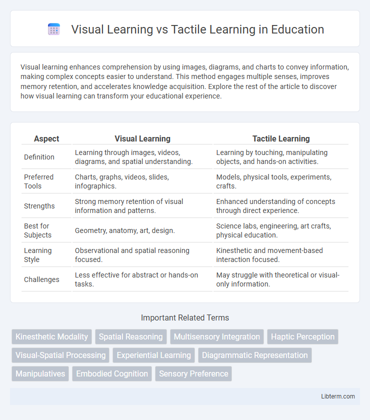 Tactile Learning vs Visual Learning in Education - What is The Difference?