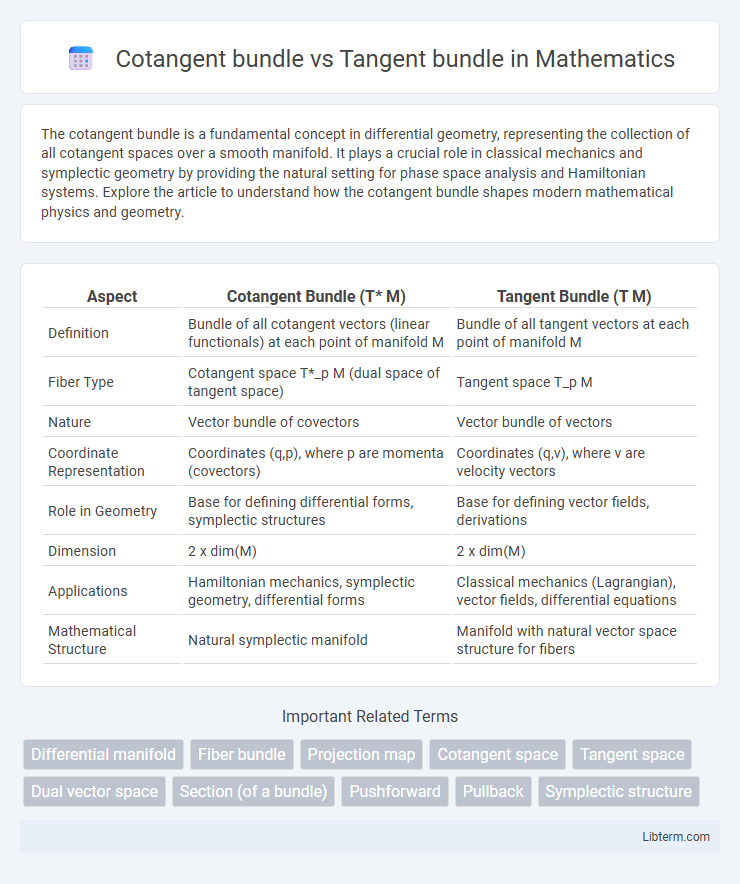 Tangent bundle vs Cotangent bundle in Mathematics - What is The Difference?