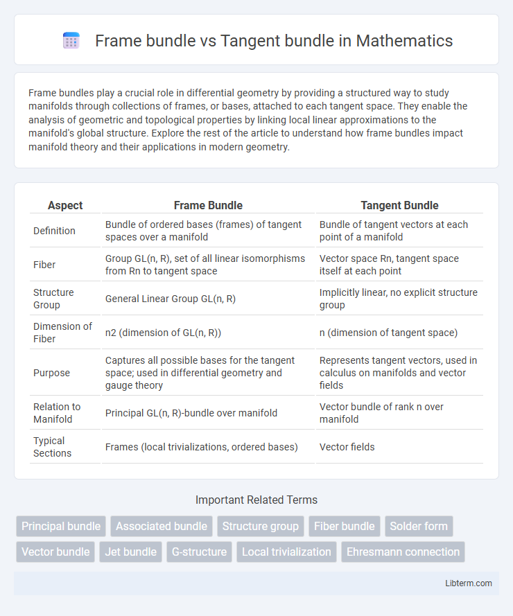Tangent bundle vs Frame bundle in Mathematics - What is The Difference?