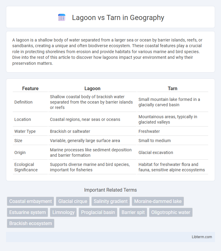 Tarn vs Lagoon in Geography - What is The Difference?