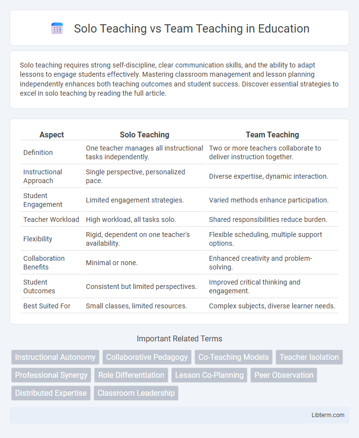 Team Teaching vs Solo Teaching in Education - What is The Difference?