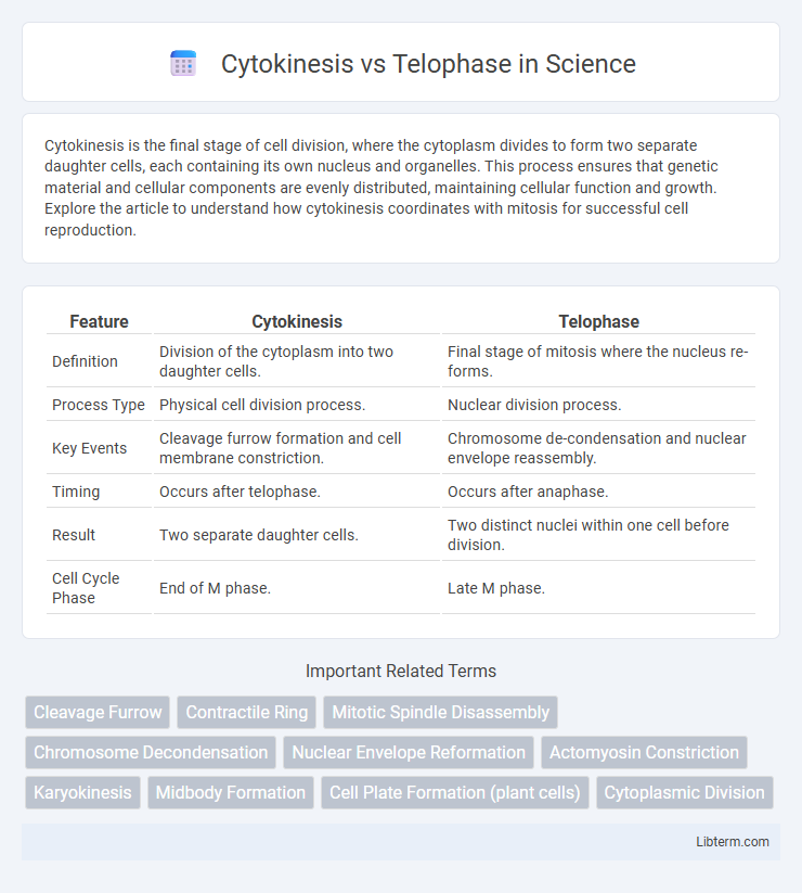 Telophase vs Cytokinesis in Science - What is The Difference?