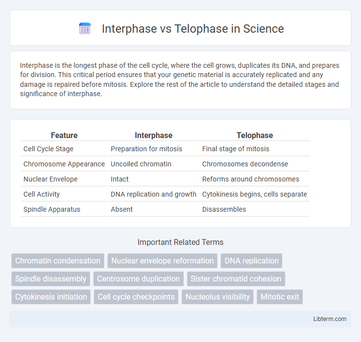 Telophase vs Interphase in Science - What is The Difference?
