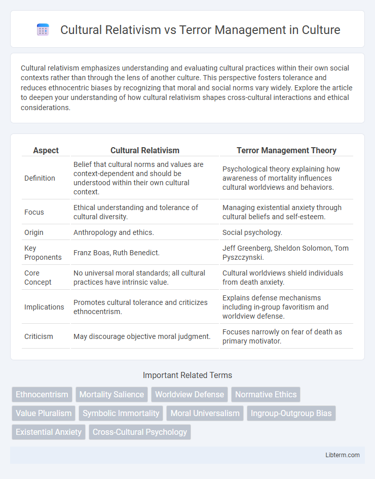 Terror Management vs Cultural Relativism in Culture - What is The Difference?