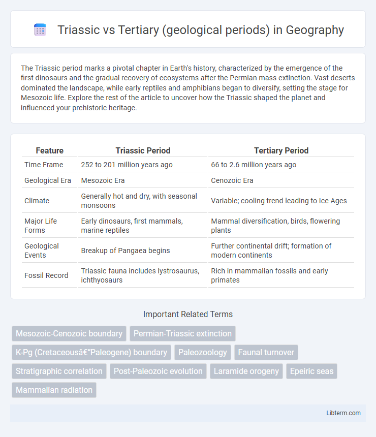 Tertiary (geological periods) vs Triassic in Geography - What is The Difference?