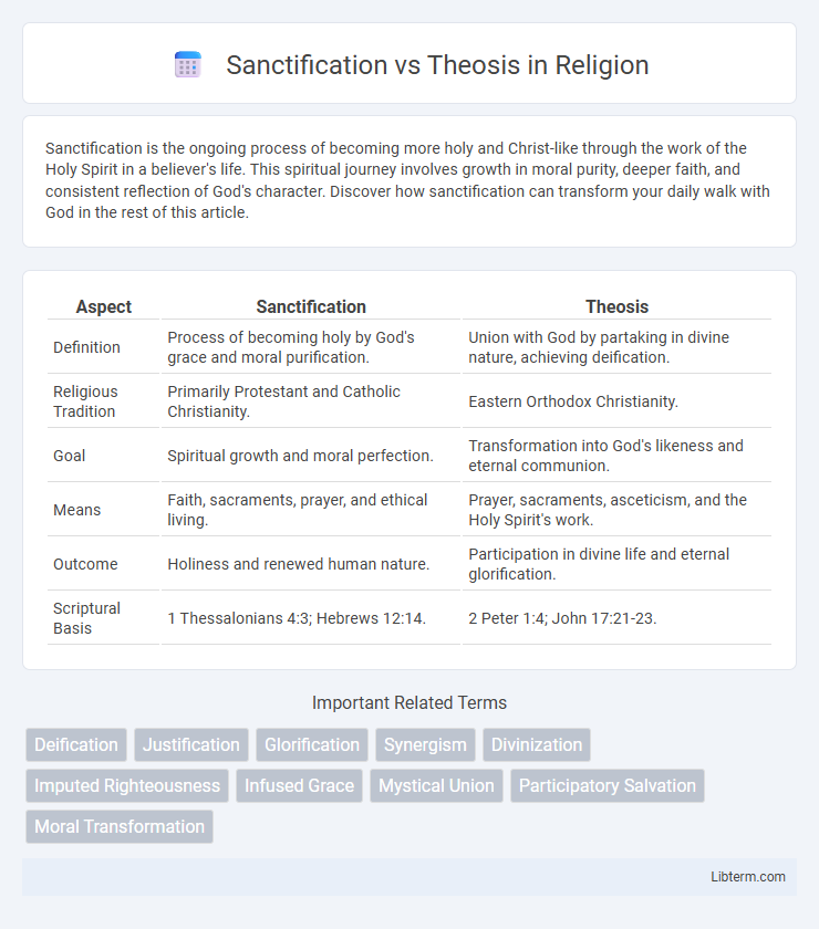 Theosis vs Sanctification in Religion - What is The Difference?
