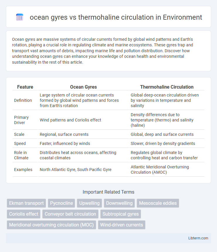 thermohaline circulation vs ocean gyres in Environment - What is The Difference?