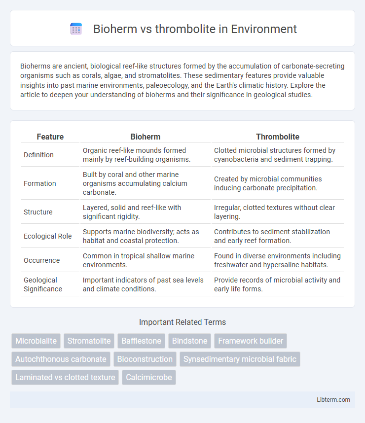 thrombolite vs Bioherm in Environment - What is The Difference?