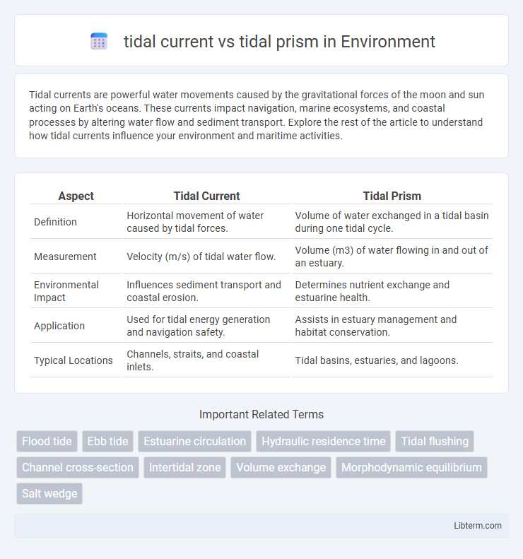 tidal prism vs tidal current in Environment - What is The Difference?