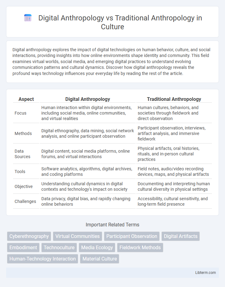 Traditional Anthropology vs Digital Anthropology in Culture - What is The Difference?