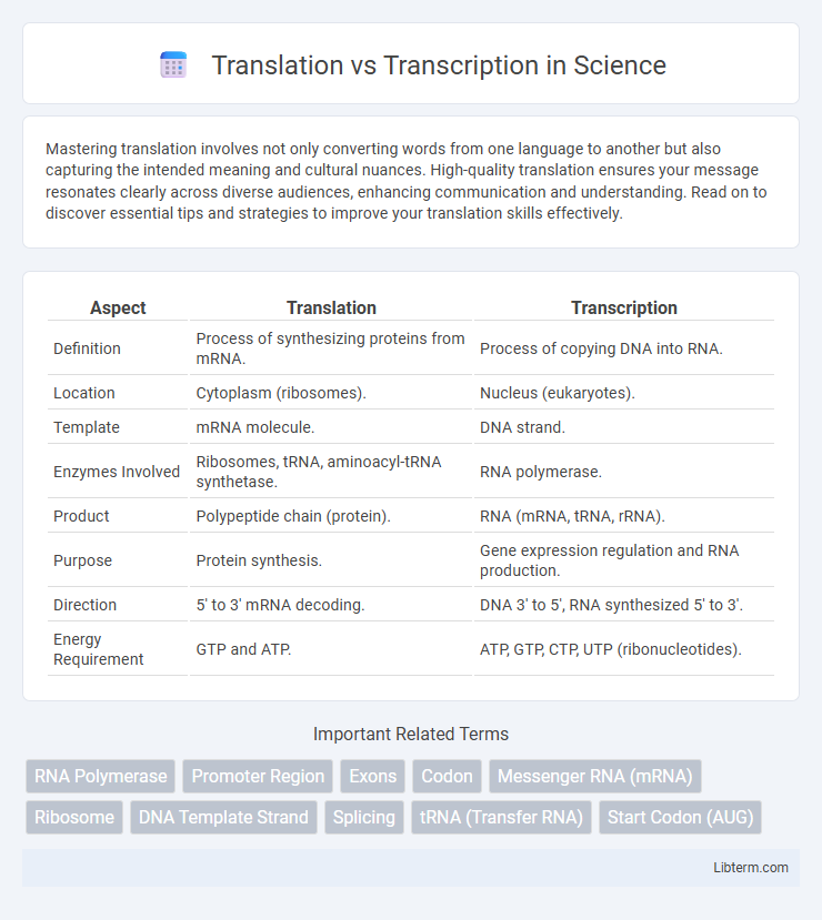 Transcription vs Translation in Science - What is The Difference?