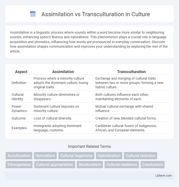Transculturation vs Assimilation in Culture - What is The Difference?