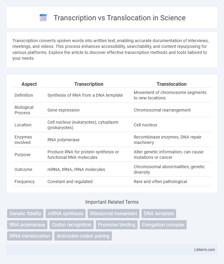Translocation vs Transcription in Science - What is The Difference?