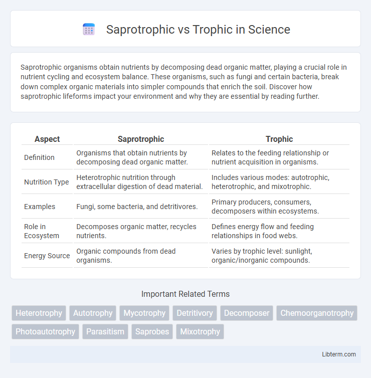 Trophic vs Saprotrophic in Science - What is The Difference?