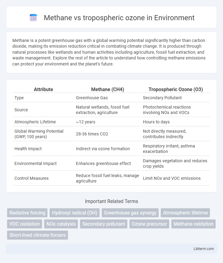 tropospheric ozone vs Methane in Environment - What is The Difference?