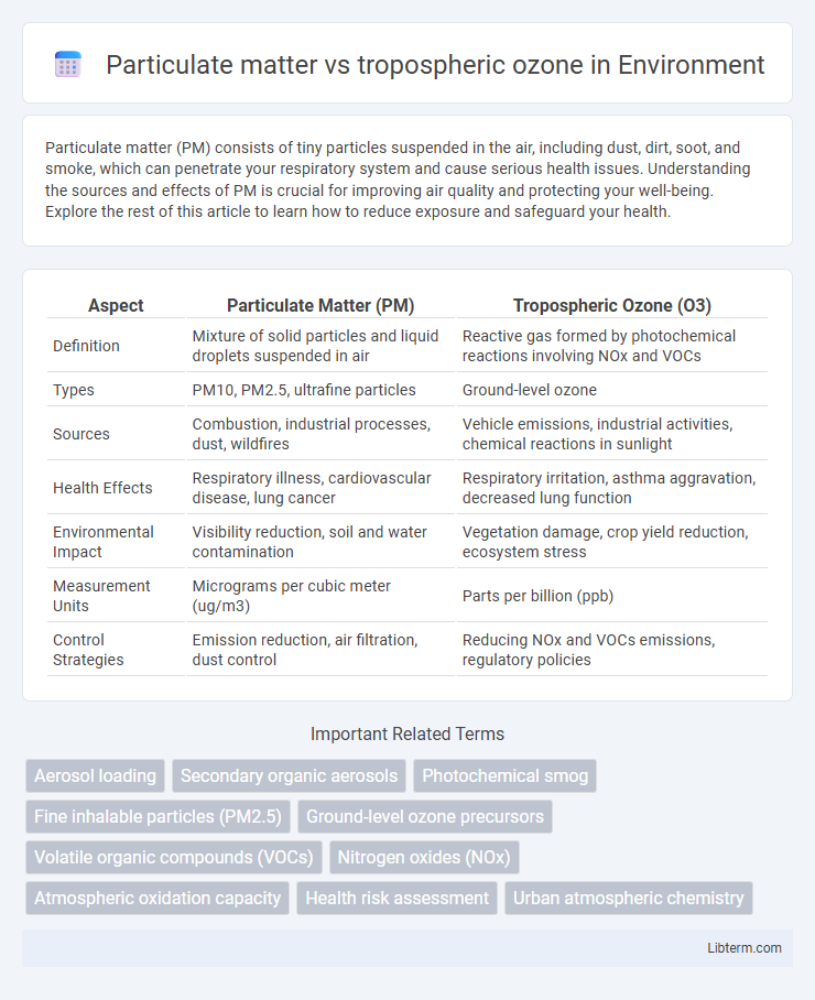tropospheric ozone vs Particulate matter in Environment - What is The Difference?