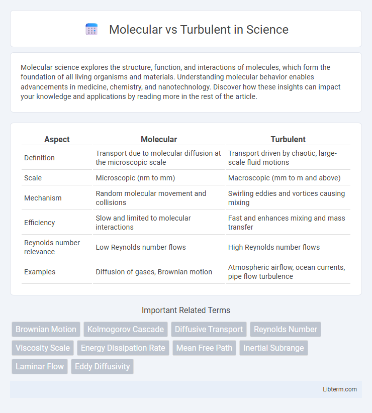 Turbulent vs Molecular in Science - What is The Difference?