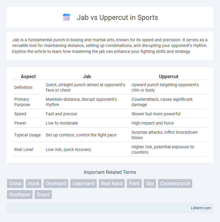 Uppercut vs Jab in Sports - What is The Difference?