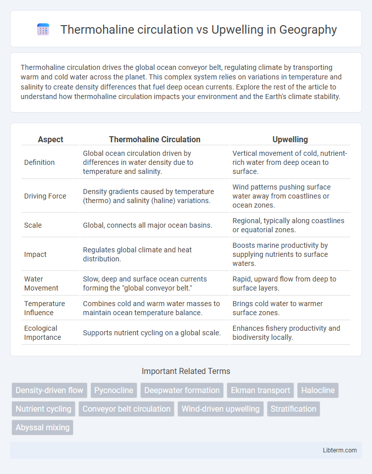 Upwelling vs Thermohaline circulation in Geography - What is The Difference?
