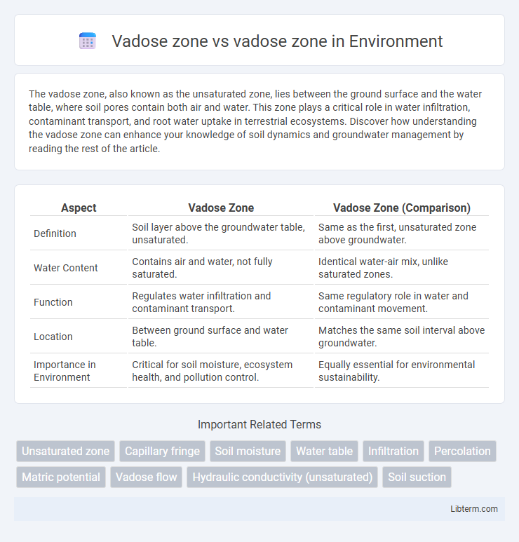vadose zone vs Vadose zone in Environment - What is The Difference?