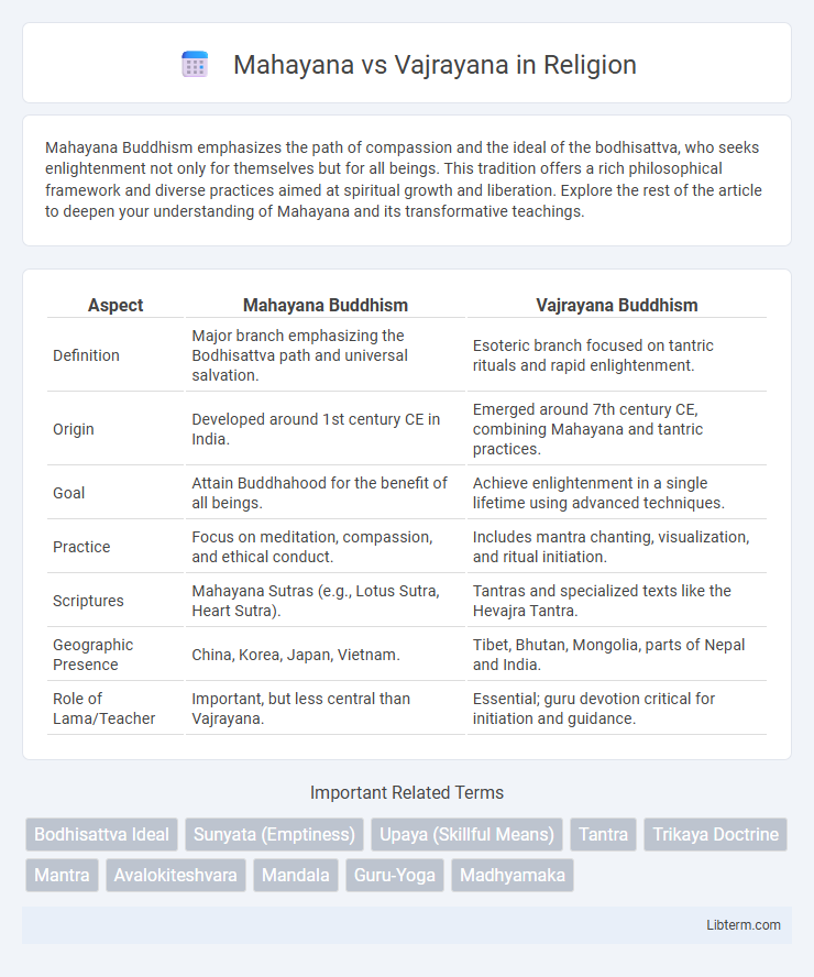 Vajrayana vs Mahayana in Religion - What is The Difference?