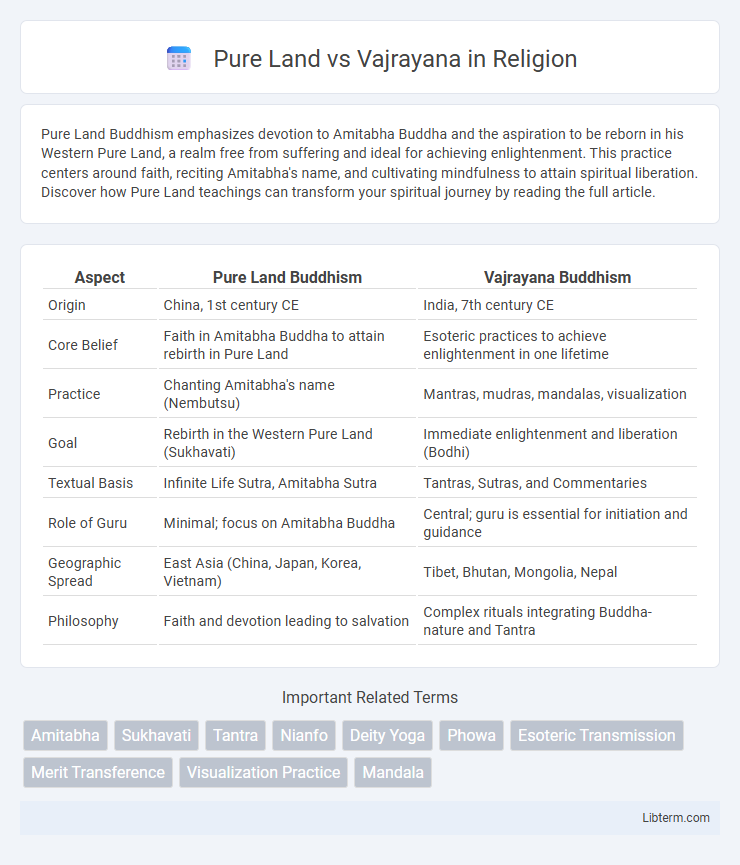 Vajrayana vs Pure Land in Religion - What is The Difference?