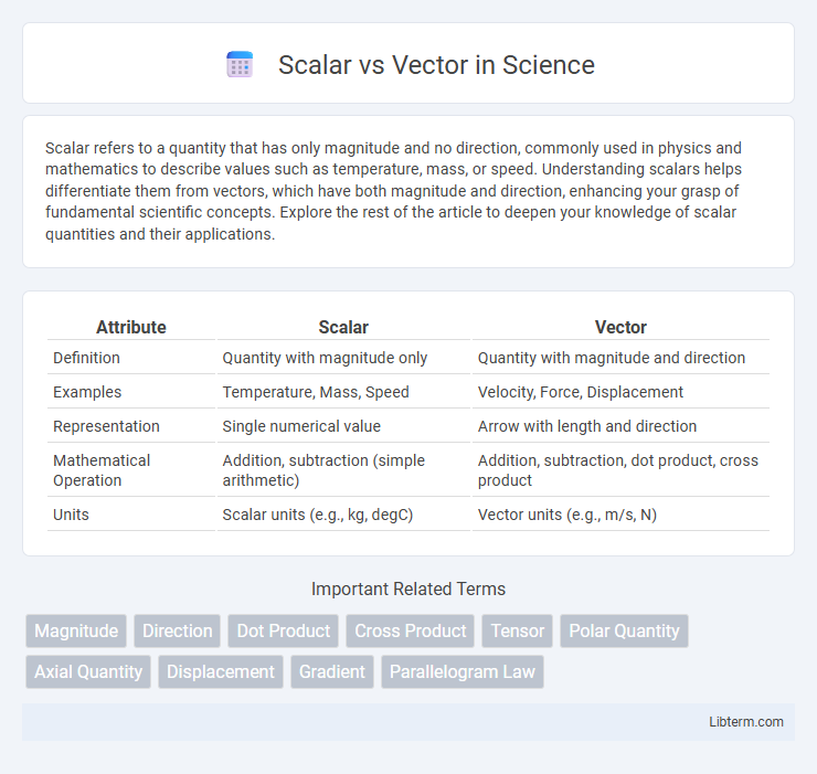 Vector vs Scalar in Science - What is The Difference?