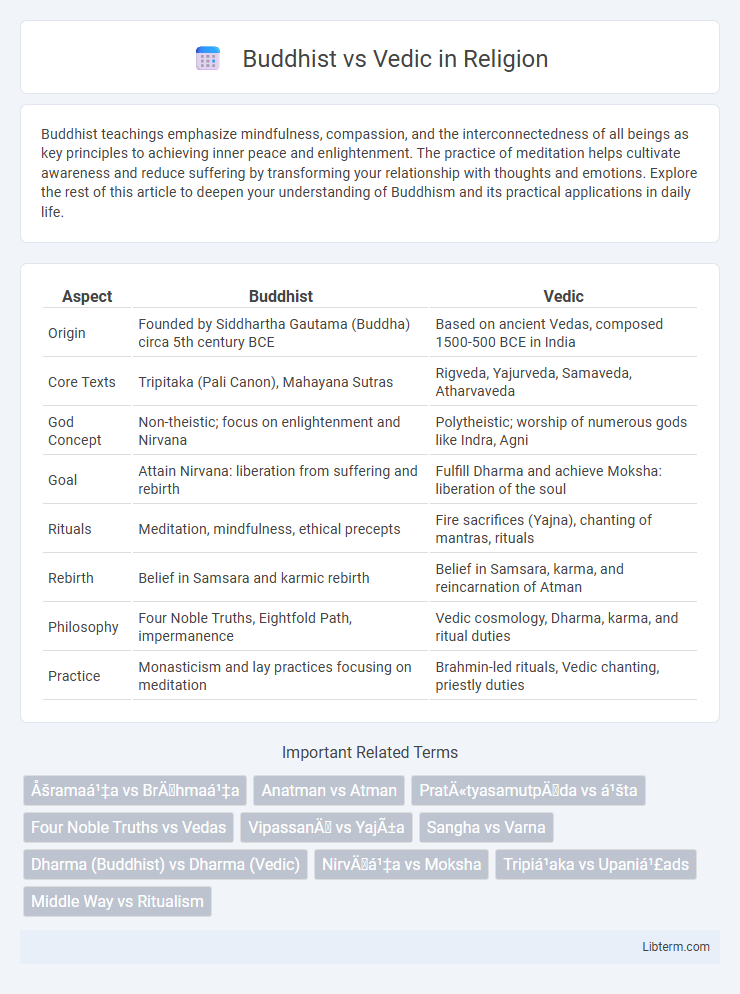 Vedic vs Buddhist in Religion - What is The Difference?