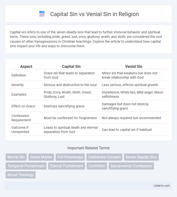 Venial Sin vs Capital Sin in Religion - What is The Difference?
