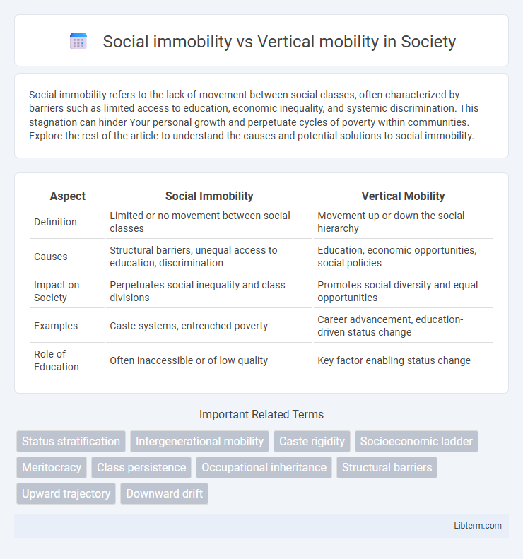 Vertical mobility vs Social immobility in Society - What is The Difference?