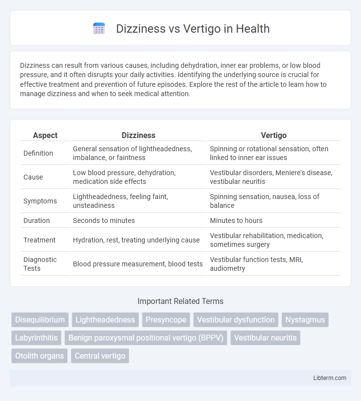 Vertigo vs Dizziness in Health - What is The Difference?