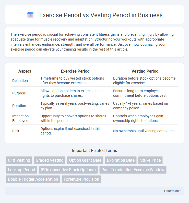 Vesting Period vs Exercise Period in Business - What is The Difference?