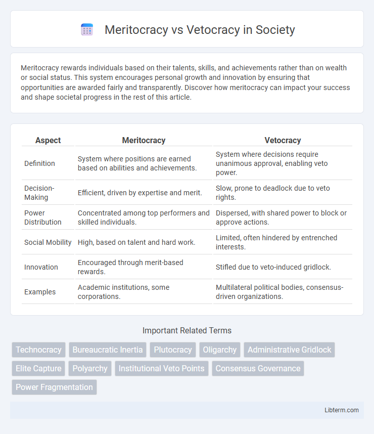 Vetocracy vs Meritocracy in Society - What is The Difference?