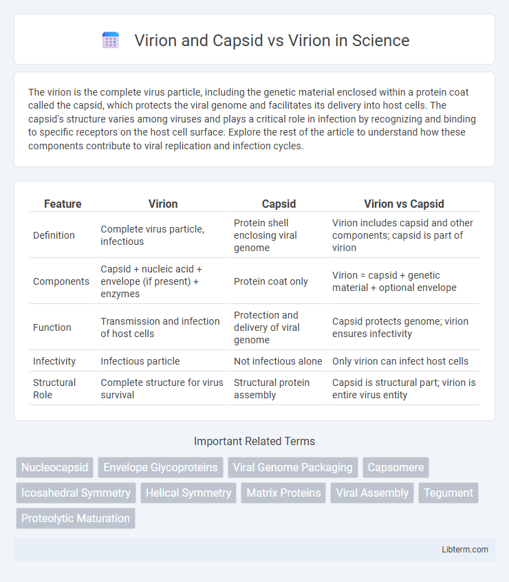 Virion vs Virion and Capsid in Science - What is The Difference?