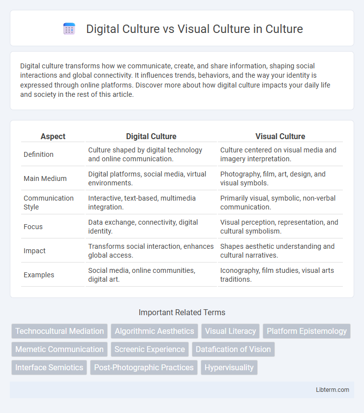 Visual Culture vs Digital Culture in Culture - What is The Difference?