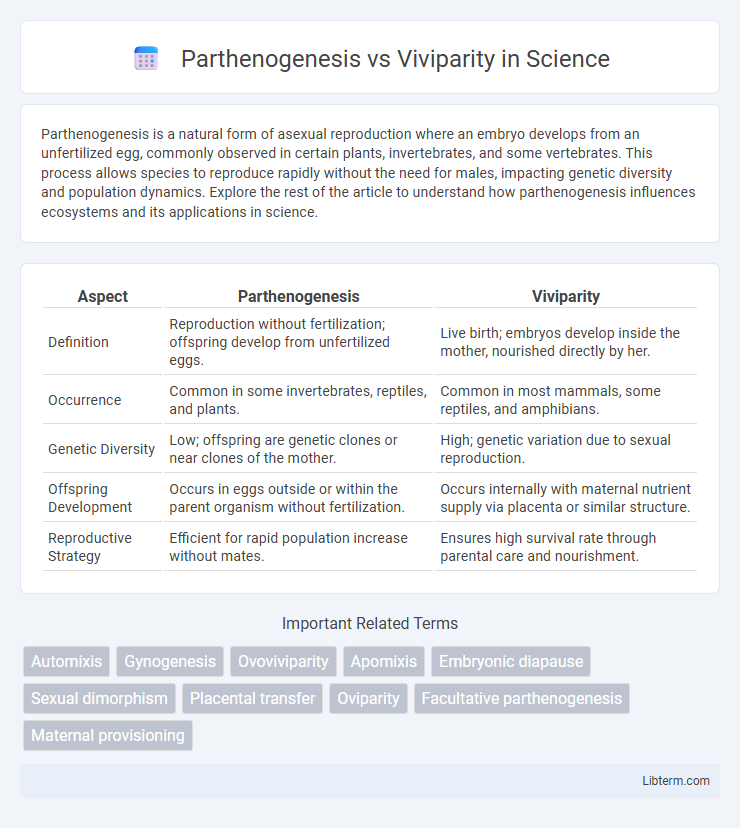 Viviparity vs Parthenogenesis in Science - What is The Difference?