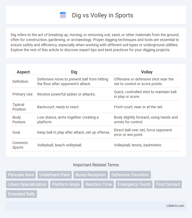Volley vs Dig in Sports - What is The Difference?