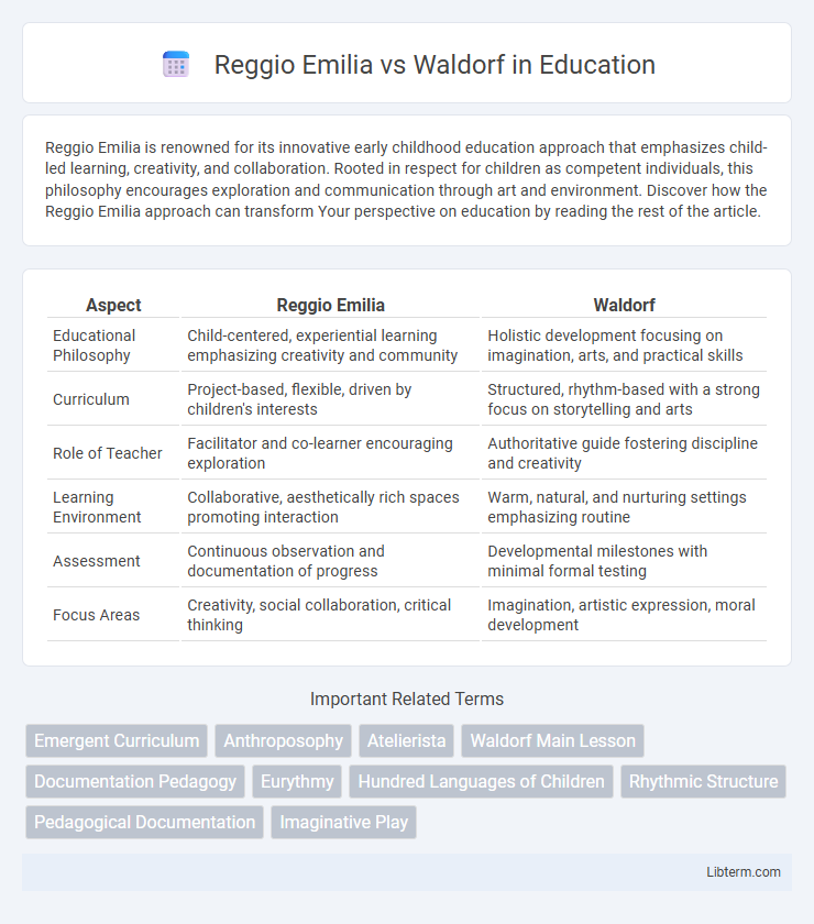 Waldorf vs Reggio Emilia in Education - What is The Difference?