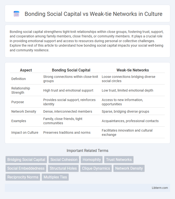 Weak-tie Networks vs Bonding Social Capital in Culture - What is The Difference?