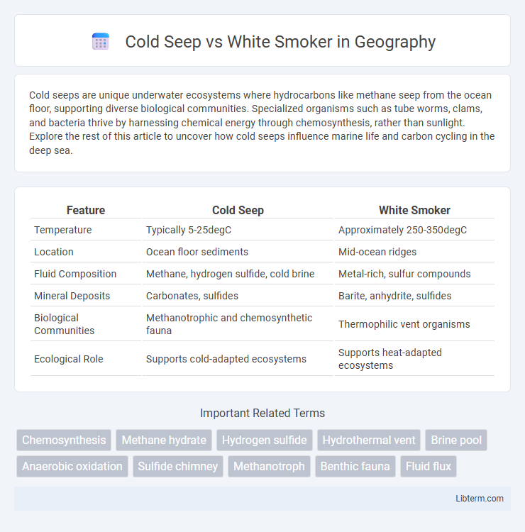 White Smoker vs Cold Seep in Geography - What is The Difference?